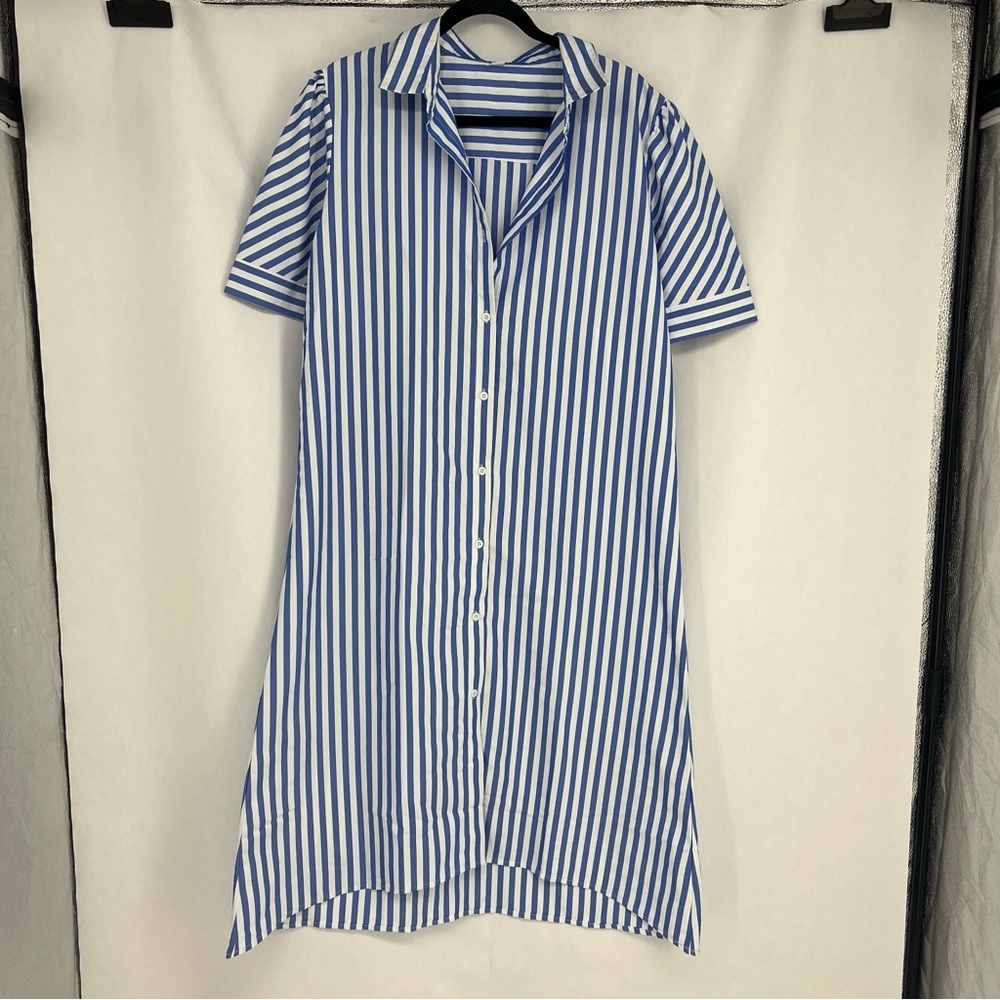 Blue and White Striped Button-Front Shirt Dress
